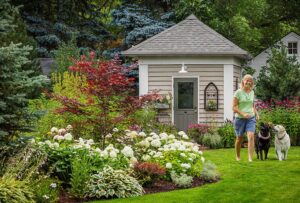 How do you landscape a dog-friendly garden?