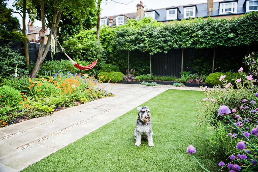 What is the best garden covering for dogs?