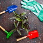 A Guide to Disinfecting Garden Tools