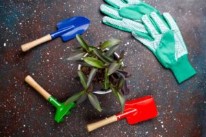 A Guide to Disinfecting Garden Tools