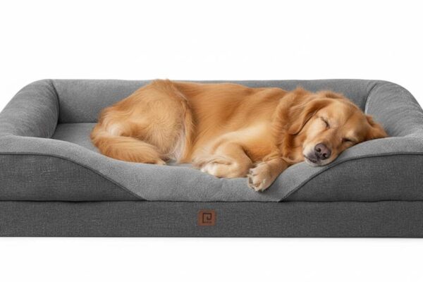 Large breed dog comfortably sleeping on supportive orthopedic bed with memory foam